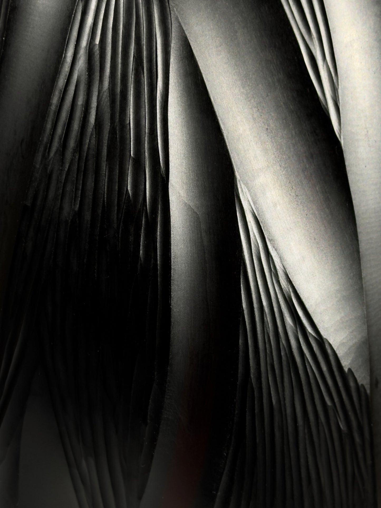 Sculpture GENESIS · 54 × 18 cm · Léon & Ulysse
