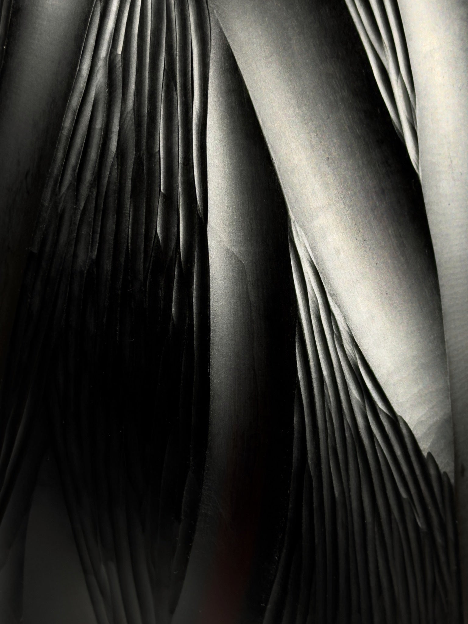 Sculpture GENESIS · 54 × 18 cm · Léon & Ulysse