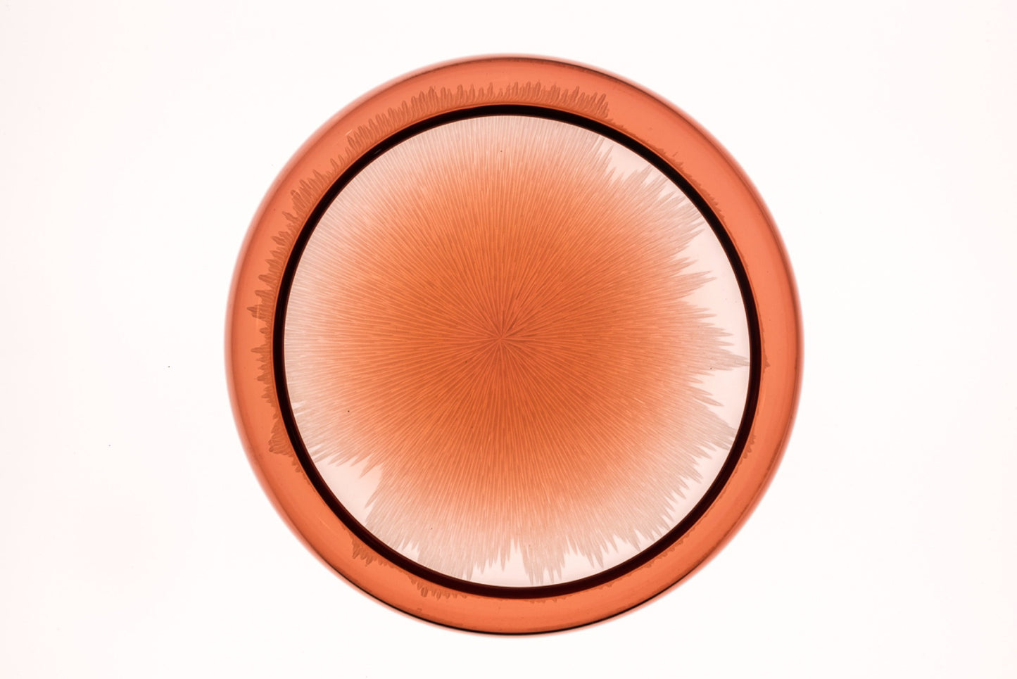 Vase Module · 14.5 × 20 cm · Léon & Ulysse