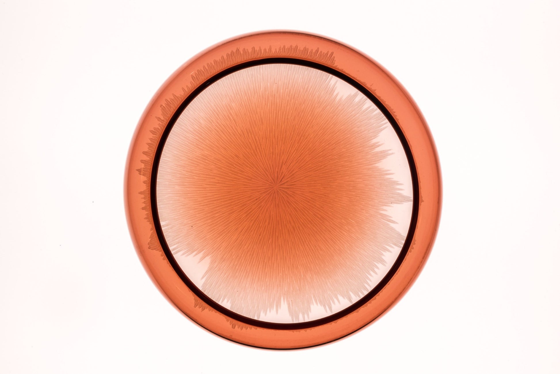 Vase Module · 14.5 × 20 cm · Léon & Ulysse